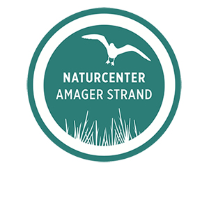 Naturcenter Amager Strand